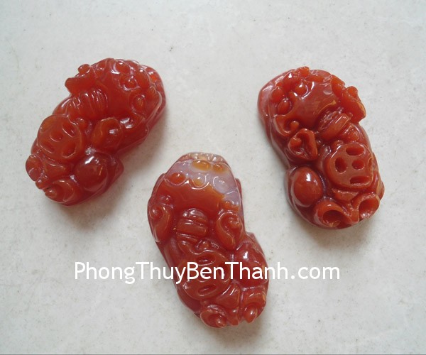 ty huu ma nao do nho s725 Bói tử vi hàng ngày: Xem Thứ năm của bạn 20/02/2014