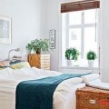 Bố trí cây xanh trong phòng ngủ hợp phong thủy