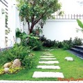 Trồng cây xanh đem lại vượng khí cho nhà ở