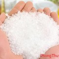 Những mẹo phong thủy xua đuổi khí xấu cho nhà ở trong đầu năm mới